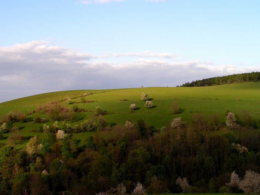 Beskid Niski