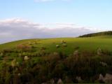 Low Beskids (Poland)